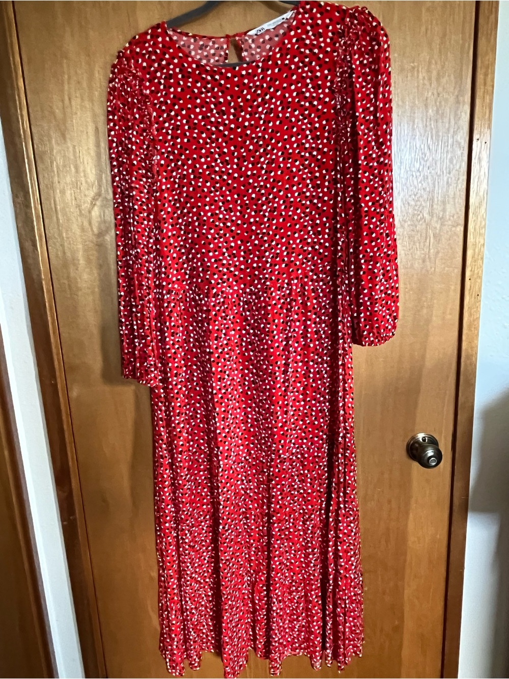 Zara Long Sleeve Polka Dot Maxi Dress
